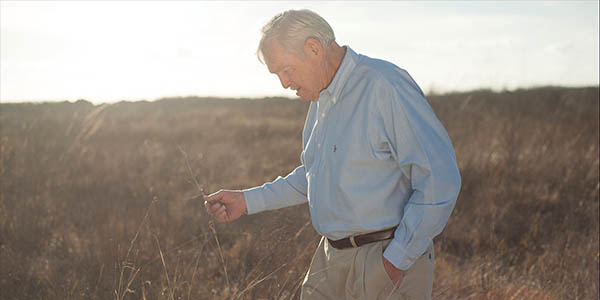Donor Advised Fund
